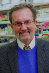 Wellington V. Cardoso, MD, PhD Profile Headshot