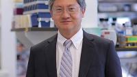 Dr. Michael Shen in a lab.