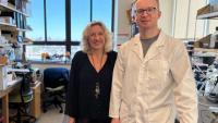 Dr. Passegue and Dr. Swan