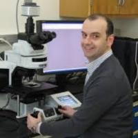 A man sits at a microscope and looks at the camera