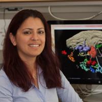 A woman sits in front of a computer monitor displaying a scientific diagram